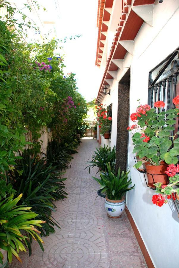 Apartamentos Inter Gandia Playa Bagian luar foto